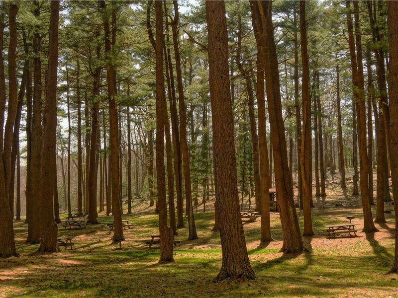 sudoku forcing chains