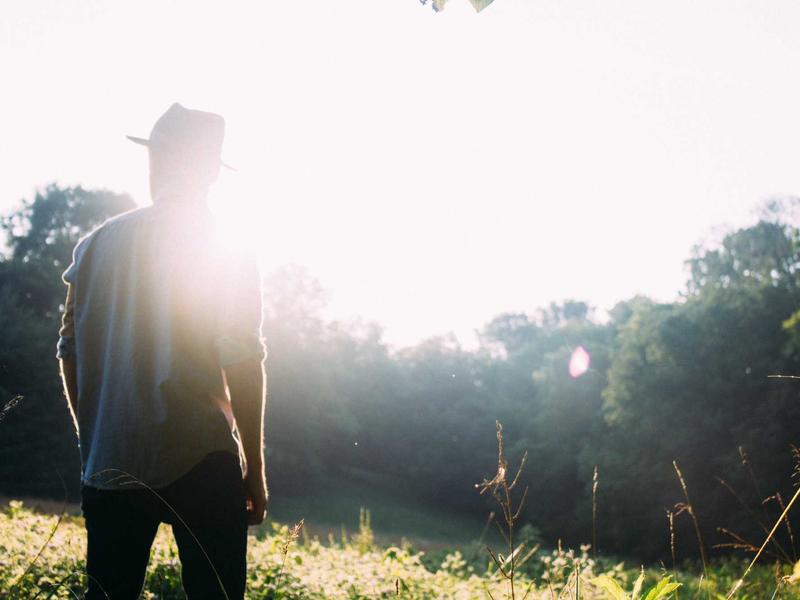 sudoku forcing chains screenshot 6